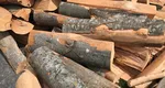 De unde pot cumpăra românii lemne de foc de la Romsilva. Cât costă metrul cub în 2026
