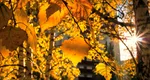 Prognoza meteo. Temperaturile ajung din nou la 21 de grade Celsius, când vine frigul