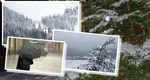 Prognoza meteo 15 octombrie 2026. Vreme de iarnă la mijloc de toamnă. Ninge, se va depune strat de zăpadă de 5-10 cm