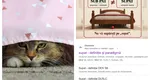Limba „bătrână” îşi face loc în dicţionare. Cum a ajuns cuvântul „supat” să isterizeze reţelele, lingvinştii şi oamenii simpli. Analiza lexicală a unui viral lingvistic