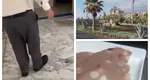 Vacanță de coșmar pentru un turist cazat la un hotel all-inclusive din Tenerife: ”Gândacii mișunau peste tot, am găsit chiar și în mâncare”