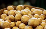 Cojile de cartofi au o mulțime de beneficii pentru sănătate. Pune-le deoparte!