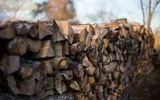 A început înregistrarea cererilor pentru acordarea ajutorului de încălzire cu lemne