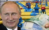 Vladimir Putin sfidează Occidentul: Economia Rusiei rezistă bine sancţiunilor