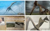 Cel mai mare dinozaur zburător din lume a fost descoperit în România, în Ţara Haţegului! Hatzegopteryx a trăit acum 70 de milioane de ani, avea aripi de 12 metri şi craniul de 3 metri! Cercetătorul care l-a descoperit încă trăieşte