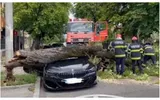 Maşină de peste 100.000 de euro făcută zob după ce pompierii au scăpat un copac peste ea: „Puteam să jur că aşa se întâmplă!”