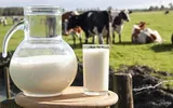 Drama fără margini a fermierilor români. Laptele a ajuns să fie mai ieftin ca apa: „Vindem cu 1,2 lei litrul! Este strigător la cer!” VIDEO