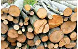 Plafonarea preţurilor la lemnele de foc. Ministrul Mediului: Este nevoie de un asemenea demers