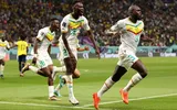 Cupa Mondială din Qatar. Fără surprize în grupa A: Ţările de Jos şi Senegal merg în optimi