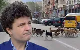 Nicuşor Dan, despre mitingul profesorilor: „Eu am autorizat toate protestele care au fost solicitate, inclusiv cele împotriva mea”. Ce spune de un nou mandat