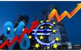 Creşterea dobânzii la creditele în lei a determinat companiile ca în 2022 să apeleze mai mult la cele în euro