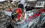 Un nou cutremur a avut loc în Turcia. Locuitorii au ieşit panicaţi pe străzi
