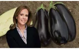 Mihaela Bilic, despre beneficiile celei mai consumate legume de toamnă: „Rămâne vedeta sezonlui rece. E un aliment ce poate fi ușor integrat în diferite combinații”