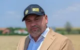 Bombă în PSD, care încearcă să reglementeze industria jocurilor de noroc! Un ministru social democrat recunoaște că joacă la pariuri sportive