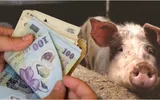 Țeapă de Sărbătorile de iarnă. Ce a pățit o familie cu porcul cumpărat pentru Crăciun