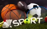 Top 5 sporturi pe care să pariezi online 