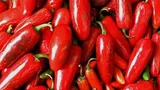 Ce se întâmplă dacă mănânci zilnic un ardei iute. Cercetătorii au fost uimiţi de efecte!