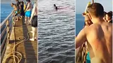 O româncă a fost sfâşiată de un rechin în staţiunea Hurghada din Egipt. Toate activităţile din zonă au fost suspendate. FOTO şi VIDEO