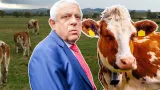 Petre Daea a răbufnit la Bruxelles! Ministrul Agriculturii vrea mai multe „bălţate” şi mai puţini urşi şi oferă bani frumoşi pentru fiecare cap de vacă din fermele românilor
