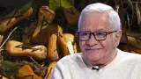 Previziuni RUNE aprilie 2023 pentru zodii. Runa ANSUZ aduce asperităţile asteniei de primăvară, dar WUNJO eliberează energii pozitive