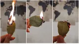 Ce se întâmplă dacă arzi o frunză de dafin în casă! Trucul simplu și ieftin îți va reda imediat bună dispoziția