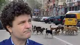 Nicuşor Dan recunoaşte că, în Bucureşti, problema câinilor abandonaţi este una îngrijorătoare: „Ar fi suficient ca unul din 1.000 de bucuresteni să adopte un câine ca noi să golim adăposturile”