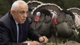Petre Daea, despre focarul de gripă aviară la ferma de curcani din Brașov: Sunt foarte multe semne de întrebare. Aștept concluziile anchetei