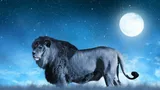 Horoscop special: Luna plina in Leu, 5 februarie 2023. Iubire sau ego?