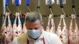 Greşeala majoră pe care o fac românii când cumpără carnea de miel: când şi de ce devine toxică. Ce spun specialiştii şi la ce trebuie să aveţi grijă