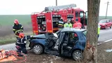 Tragedie în Tulcea. O femeie a murit, iar un bărbat şi un copil au fost răniţi după ce au intrat cu maşina într-un copac