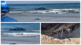 BMW înghițit de valurile mării, după ce un șofer a parcat mașina pe plajă: „Nu poți parca acolo, amice”