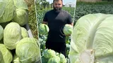 Cine este tânărul fermier care şi-a deschis o fermă după ce s-a întors din străinătate. Soiul de varză pe care-l cultivă rezistă mult timp după recoltare