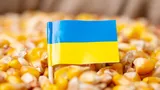 Florin Barbu, ministrul Agriculturii: Importurile de cereale din Ucraina şi Republica Moldova vor fi permise doar fermierilor şi procesatorilor români şi doar pe bază de licenţă