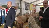 Cel mai potent crescător de ovine din România investește 5 milioane de dolari pentru achiziționarea unui vapor: „Săptămâna viitoare semnăm contractul”
