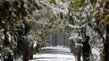Se întoarce iarna în București. Meteorologii Accuweather au actualizat prognoza pentru martie 2024