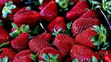 Primele căpșuni românești au apărut deja în piețe. Prețul unui kilogram este aproape cât cel al cărnii de miel