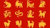 Zodiac chinezesc pentru luna mai 2024. Zodia care va avea noroc în toate domeniile. Îi merge totul din plin