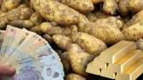 Cartofii noi au început să apară pe piețele din România. Cât costă un kilogram în supermarketuri. Prețurile nu sunt la îndemâna oricui