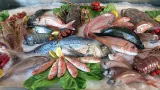 Peștele care are mai multe beneficii decât somonul! Trăiește în Marea Neagră, are oase puține și este foarte ieftin. Românii îl vor cumpăra de acum