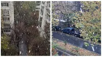 Alertă meteo cod galben de vijelii după ploi. Vântul va sufla cu până la 70 km la oră. La munte va ninge