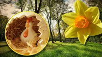 Cum va fi vremea de Paşte. Prognoza emisă de ANM anunţă ploi în toată ţara