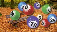 Rezultate Loto 9 noiembrie 2025. Un român a câştigat, cu 12 lei, aproape 10 milioane de euro la Loto 6/49, numerele câştigătoare la toate categoriile