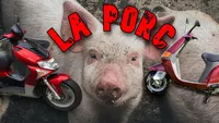 Cursă „nebună” într-o comună din Iași. Doi tineri au băut la barul „La Porc”, s-au întrecut cu scuterele 5 – 10 metri și au intrat unul în altul