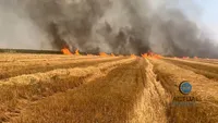 Incendiu masiv în Mehedinţi, ard peste 30 de hectare de mirişte VIDEO