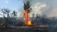 Incendiu violent în Mehedinţi, flăcările se apropie de case