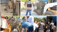 Descinderi de amploare la menajeria de unde Dani Mocanu și-a luat animale exotice