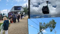 Avarie la Sinaia! Turiștii din telegondole, evacuați după ce un copac a căzut peste cablurile de tensiune