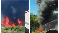 Un avion F16 s-a prăbușit și a luat foc, după ce a lovit o pasăre. Imagini șocante