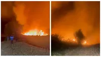 Incendiu de vegetație în Delta Banatului. Fumul a ajuns până în Timișoara