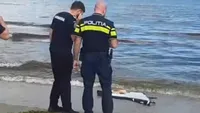 Fragment de dronă descoperit pe plaja Modern din Constanța. Bucăţile, neutralizate de MApN VIDEO